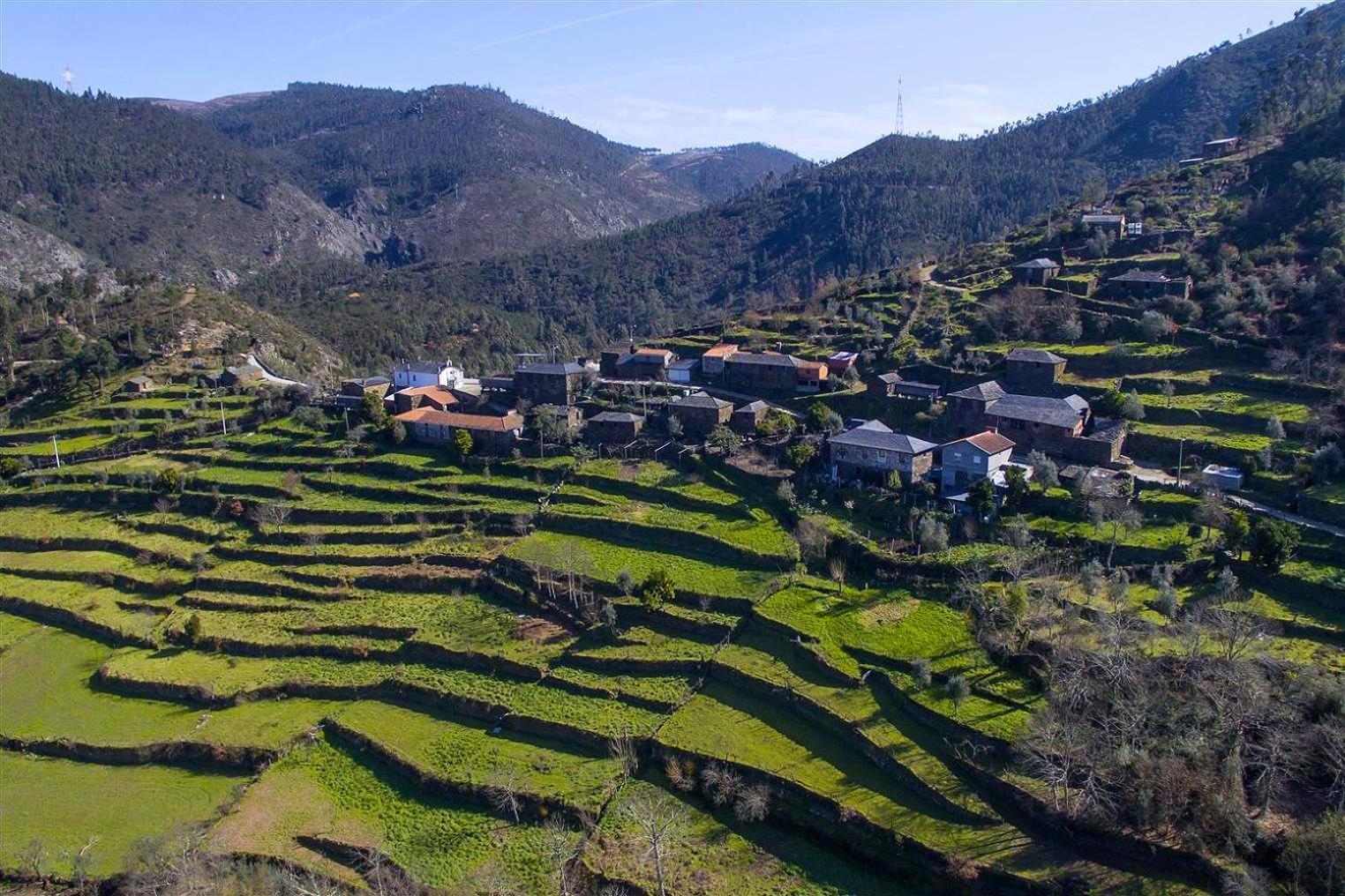 Вилла Casa Da Figueira - Rio Paiva Арока Экстерьер фото