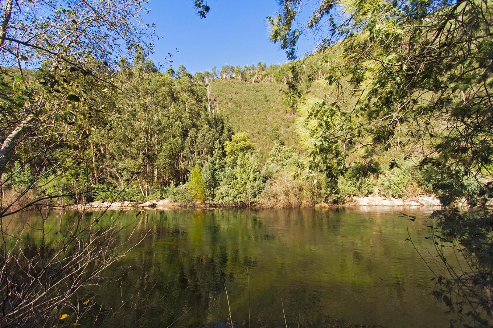 Вилла Casa Da Figueira - Rio Paiva Арока Экстерьер фото